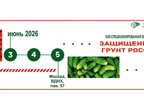 _ZGEXPO_page-0001