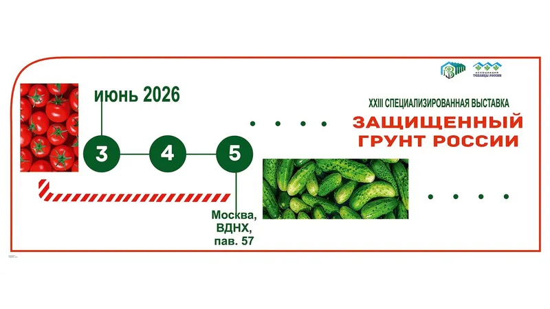 _ZGEXPO_page-0001