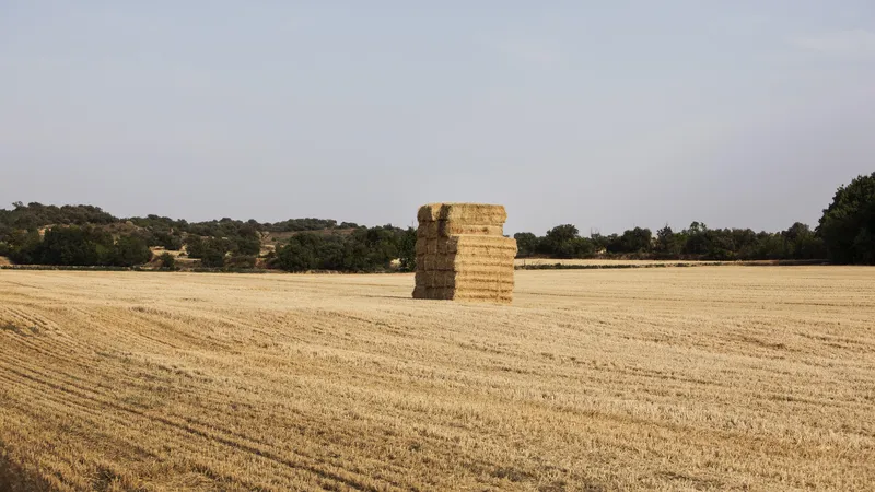 big-haystack-middle-field-countryside