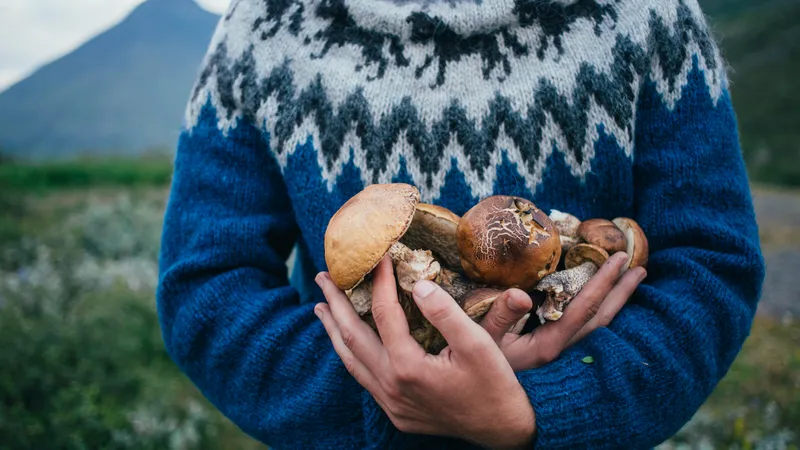 happy-proud-picker-man-traditional-blue-wool-sweater-with-ornaments-stands-camping-ground-mountains-holds-arms-pile-delicious-organic-mushrooms