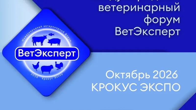 mailservice (1)